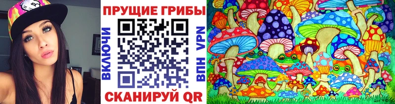 Галлюциногенные грибы прущие грибы Белозерск